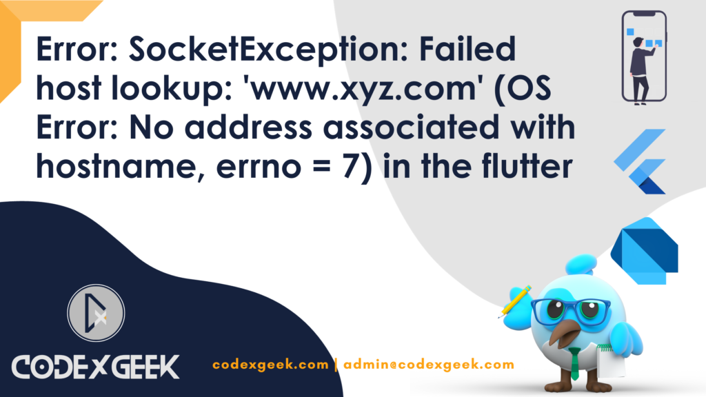 Error SocketException Failed Host Lookup Flutter